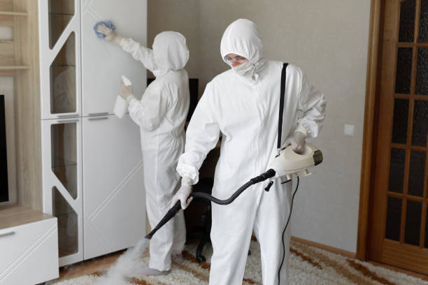 24/7 Emergency Odor Removal experts in Ferndale, FL