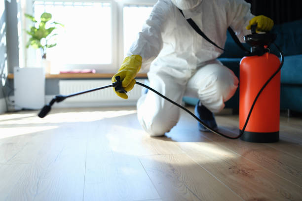 Reliable Odor Removal contractor in Ferndale, FL by Trauma Clean Pros